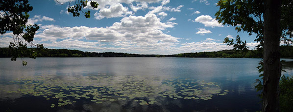 Horn Pond